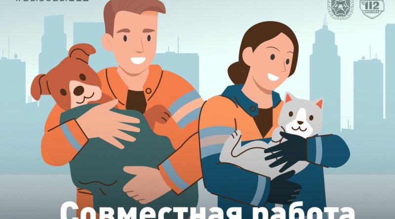А ты найди кота