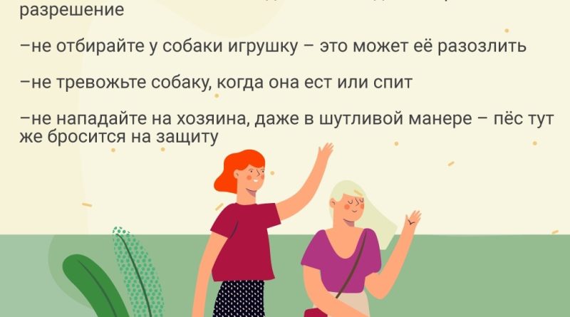 Выгул по правилам