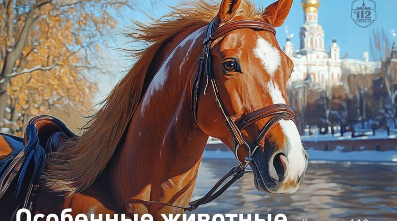 Особенные животные