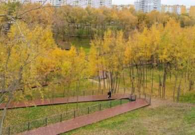 Новый парк появился в Орехове-Борисове Южном