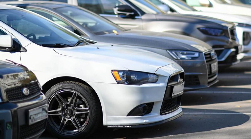 Не забыть проверить машину: как простая привычка может спасти животное