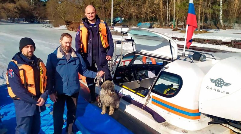 Истории со счастливым концом: как столичные спасатели помогают животным